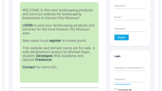 Wordpress online business startup website